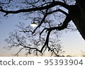 Spooky tree for halloween 95393904