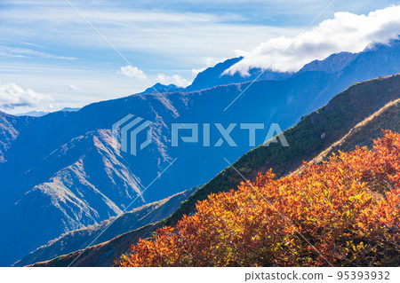 (長野縣)秋葉美麗的白馬八方根 (長野縣)秋葉美麗的白馬八方根 95393932