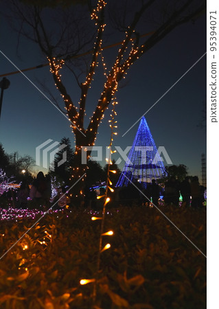 燈光璀璨的夜間公園 95394071