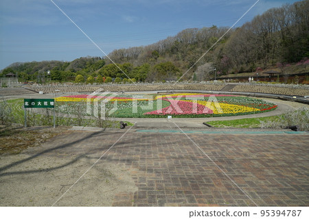 Blue sky, cherry blossoms and nemophila_Gifu World Rose Garden 95394787