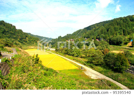 Autumn in a mountain village with golden ears of rice 95395540