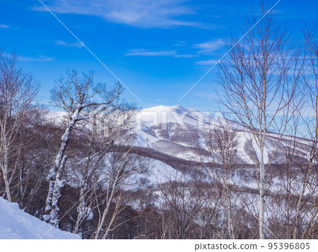 A view of a distant ski resort through the trees (Niseko, Hokkaido) 95396805