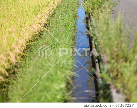 Aqueduct for agriculture 95397227