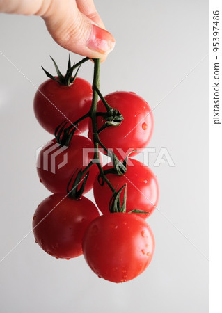 帶串的迷你西紅柿 帶串的迷你西紅柿 95397486