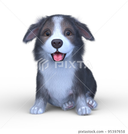 Welsh Corgi Pembroke Welsh Corgi Pembroke 95397658