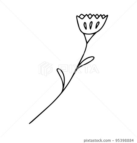Delicate sketch of a spring flower. Vector illustration in hand drawn style 95398884