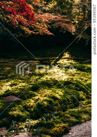 A Kyoto temple decorated with moss and autumn leaves A Kyoto temple decorated with moss and autumn leaves 95399567