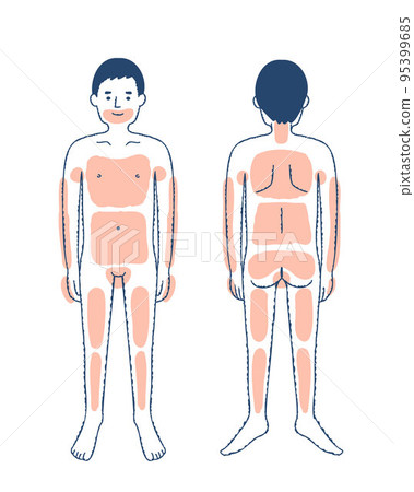 脫毛部位全身男性的說明圖 95399685