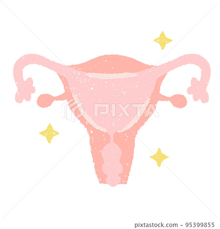 手繪健康子宮圖 手繪健康子宮圖 95399855