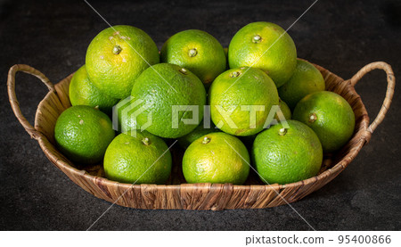 籃子裡的 Kabosu（石紋背景） 95400866