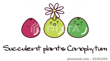 succulent plant mesen conophytum bulgeri conophytum burgeri group planting illustration 95401059