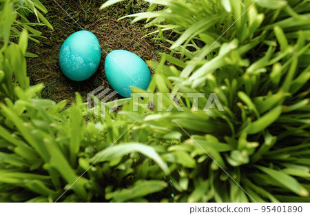 blue eggs blue eggs 95401890