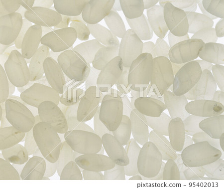 white long rise 95402013