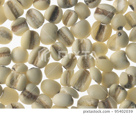 wheat - seeds 95402039