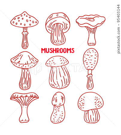 set of sketch mushrooms set of sketch mushrooms 95403144