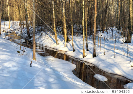 Melting snow formed stream flowing among trees in early spring forest Melting snow formed stream flowing among trees in early spring forest 95404395