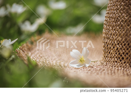 white flowers on a straw hat in summer 95405271