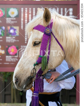 在水前寺公園(熊本市)舉行的武田式騎馬射箭 在水前寺公園(熊本市)舉行的武田式騎馬射箭 95405394