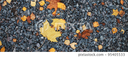 Gray small stone gravel background texture with fallen autumn leaves 95405533
