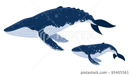 Cartoon blue whales - mother with child. Underwater world, Marine life. Vector illustration of a whale Cartoon blue whales - mother with child. Underwater world, Marine life. Vector illustration of a whale 95405561
