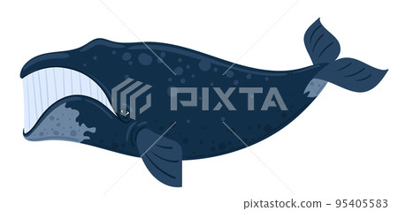 Cartoon whale bowhead, southern right whale, sperm hale. Underwater world, Marine life. Vector illustration of a whale 95405583