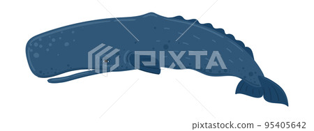 Cartoon whale cachalot, sperm whale. Underwater world, Marine life. Vector illustration of a whale Cartoon whale cachalot, sperm whale. Underwater world, Marine life. Vector illustration of a whale 95405642