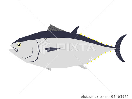 金槍魚的插圖 95405983