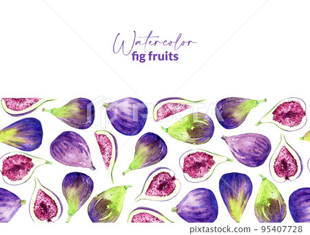 Watercolor hand drawn figs. Illustration of sweet fresh crop. Organic food for label, menu, recipes, packaging. Border with summet fruit harvest. Watercolor hand drawn figs. Illustration of sweet fresh crop. Organic food for label, menu, recipes, packaging. Border with summet fruit harvest. 95407728
