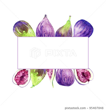 Border with watercolor hand drawn figs. Illustration of sweet fresh crop. Organic food for label, menu, recipes, packaging. Summet fruit harvest. Border with watercolor hand drawn figs. Illustration of sweet fresh crop. Organic food for label, menu, recipes, packaging. Summet fruit harvest. 95407848