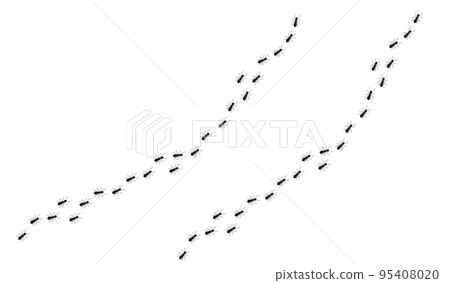 Ant trail, marching insects line background. Spreading pests trail or marching insects pathway vector background. Traveling ant colony workers line, termite pests invasion 95408020