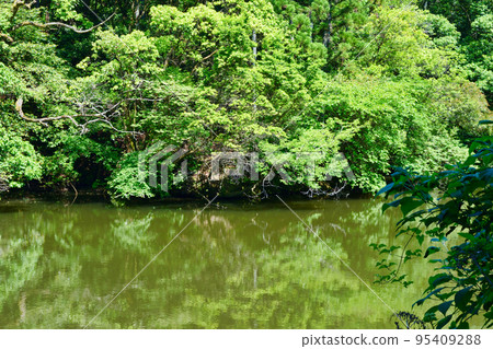京都伏見稻荷神社 Shinike (Ajigaike) 京都伏見稻荷神社 Shinike (Ajigaike) 95409288
