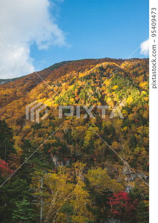 從駒岳索道看到的風景 從駒岳索道看到的風景 95409473
