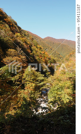 國道471的秋天 95411187