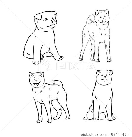 Akita dog face - isolated vector illustration akita inu dog vector 95411473