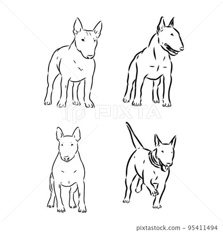 Cute bull terrier dog sketch. Vector illustration in hand-drawn style. Image for printing on any surface Cute bull terrier dog sketch. Vector illustration in hand-drawn style. Image for printing on any surface 95411494