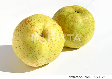 Japanese pear (Kahori pear) 95412588