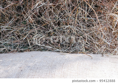 Vintage natural background. The texture of sackcloth and hay. Vintage natural background. The texture of sackcloth and hay. 95412888