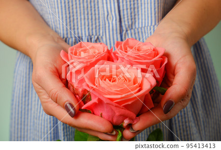 Woman in blue dress holding delicate pink Rose Flower in Hands. Closeup woman hands with white manicure holding delicate pink rose flower, selective focus 95413413