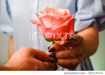 Woman in blue dress gives the man a delicate pink Rose Flower. Close-up view of hands with a rose. Romance, love. Hands Giving Rose To Man Woman in blue dress gives the man a delicate pink Rose Flower. Close-up view of hands with a rose. Romance, love. Hands Giving Rose To Man 95413414