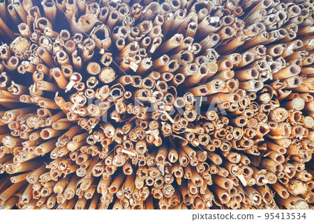 Texture, background. Butt, a cut of an old reed. Reed roof edge. The texture of the thatched roof Texture, background. Butt, a cut of an old reed. Reed roof edge. The texture of the thatched roof 95413534