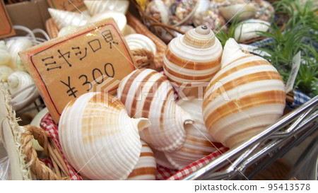 oyster clams at the shop 95413578