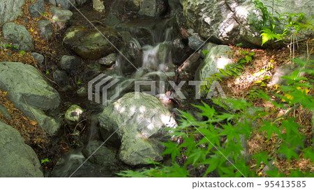 Senoragi of Ogawa Senoragi of Ogawa 95413585