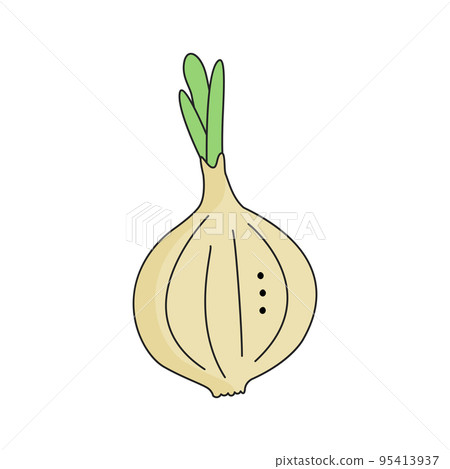 Onion Isolated on white background for menu, banner, poster, label, emblem. Cartoon style Onion Isolated on white background for menu, banner, poster, label, emblem. Cartoon style 95413937