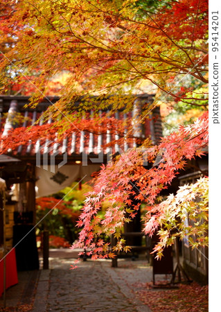 用紅葉裝飾的永源寺正門（滋賀縣東見市） 95414201