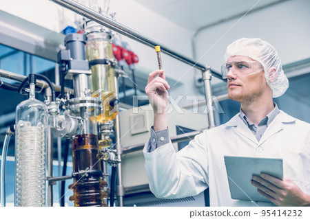 Scientist worker with Dried Hemp flowers in medicine factory. CBD oil extraction Laboratory Plants Technician. 95414232