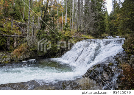 Scenery of brook in Dill valley, High Tatras mountain, Slovakia Scenery of brook in Dill valley, High Tatras mountain, Slovakia 95415079