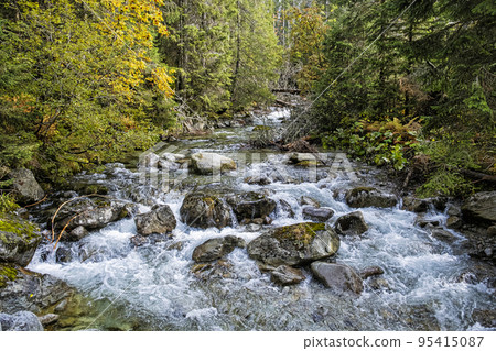 Scenery of brook in Dill valley, High Tatras mountain, Slovakia 95415087