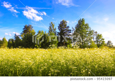 Summer landscape in countryside. Summer landscape in countryside. 95415097