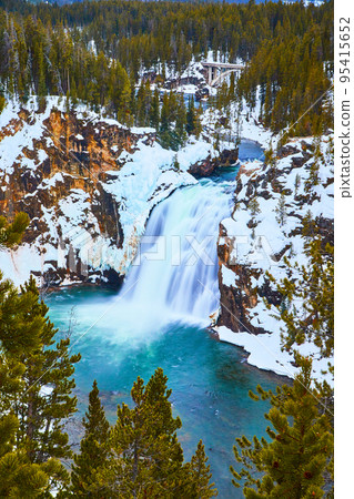 Winter at Yellowstone with snowy cliffs by Lower Falls surrounded in pine trees 95415652