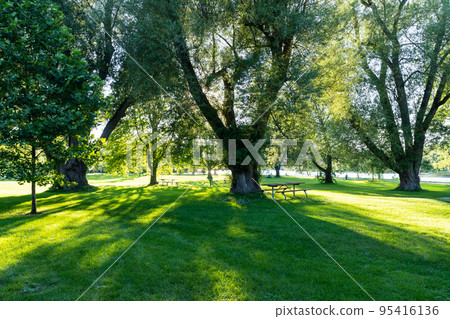 Wooden Bench in the Toronto Islands Park Centre Island. Toronto, Ontario, Canada. 95416136